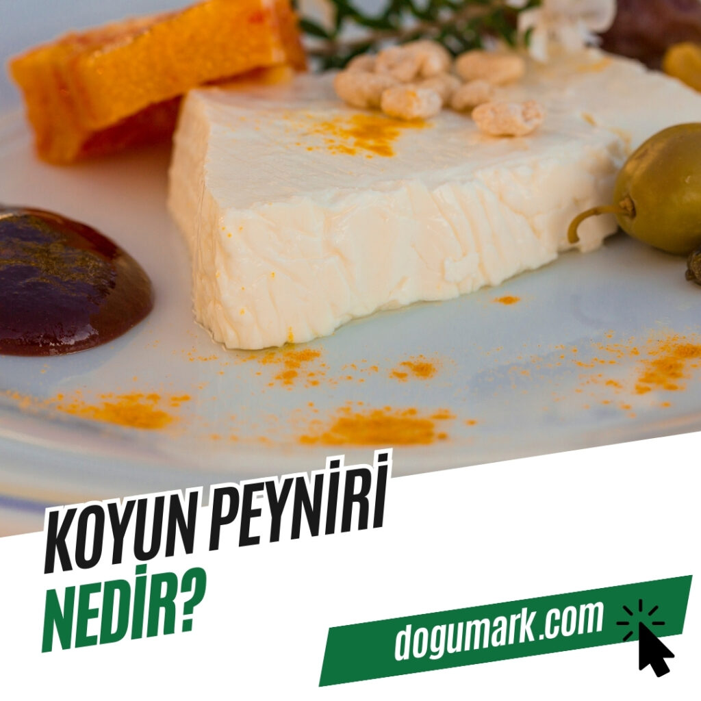 Koyun Peyniri Nedir