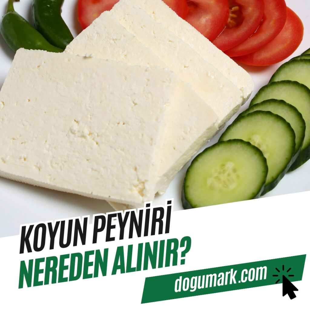 Koyun Peyniri Nereden Alınır