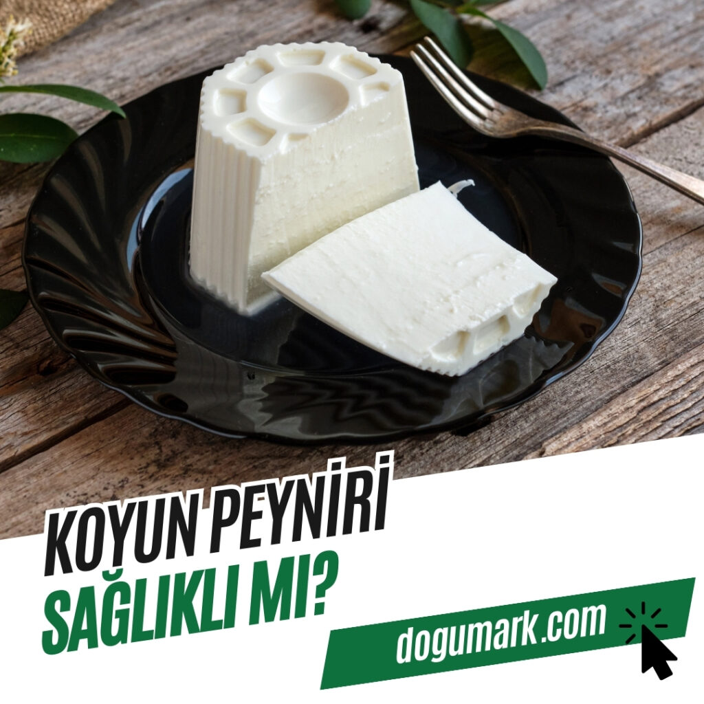 Koyun Peyniri Sağlıklı mı