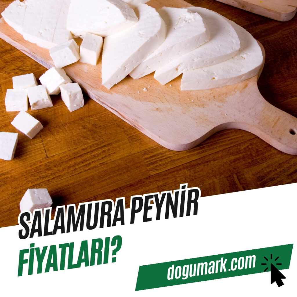 Salamura Peynir Fiyatları