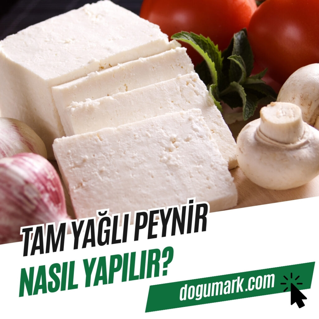 Tam Yağlı Peynir Nasıl Yapılır