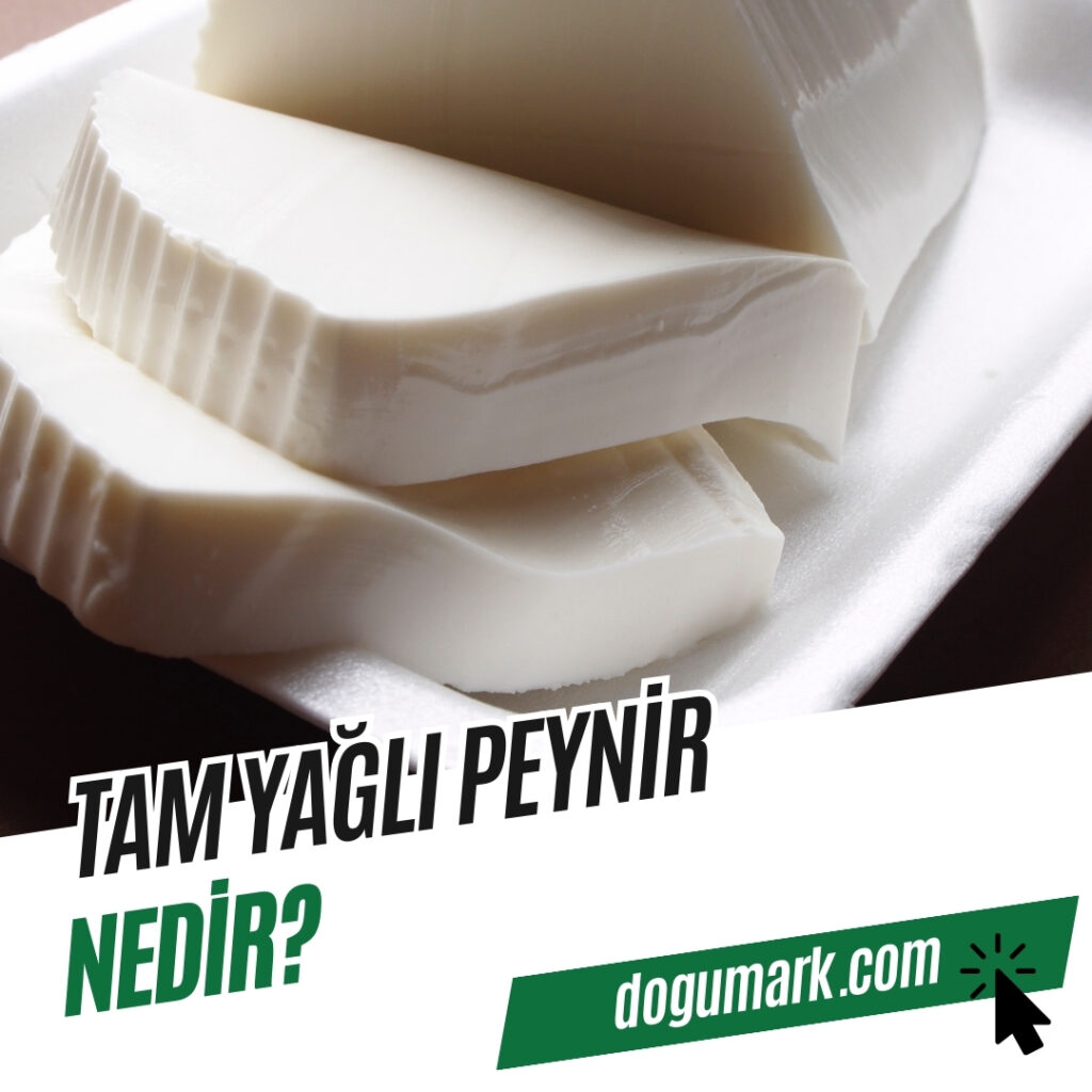 Tam Yağlı Peynir Nedir