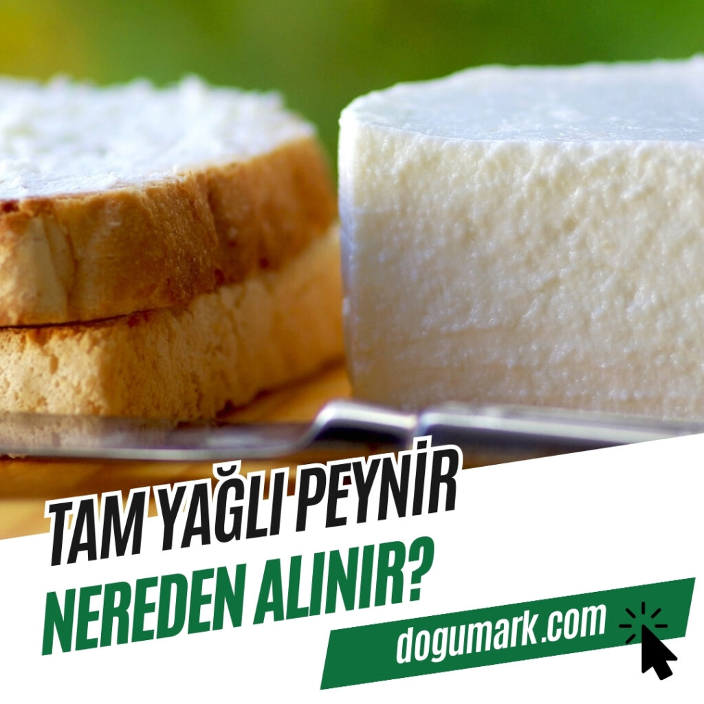 Tam Yağlı Peynir Nereden Alınır