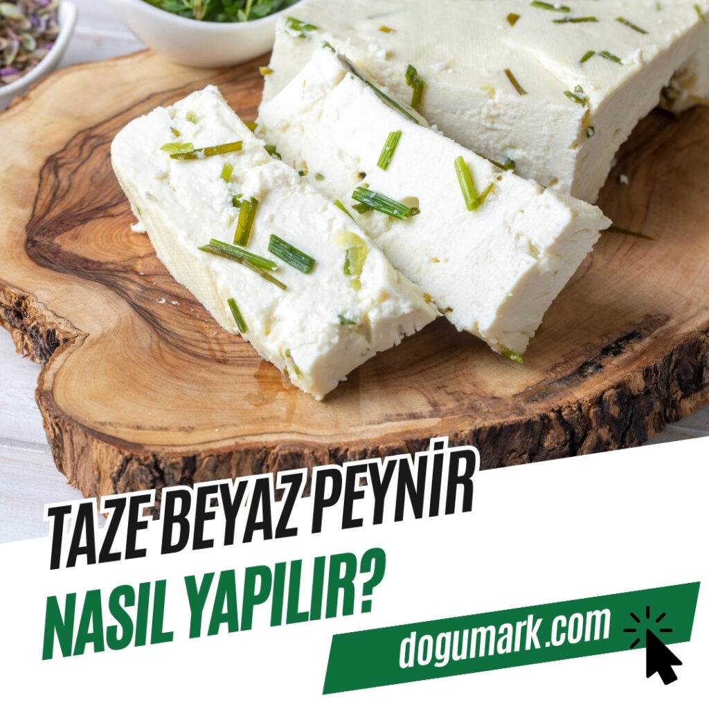 Taze Beyaz Peynir Nasıl Yapılır