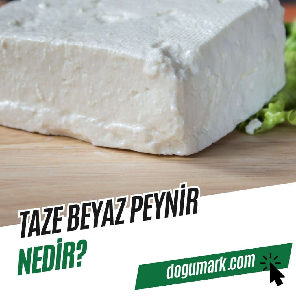 Taze Beyaz Peynir Nedir