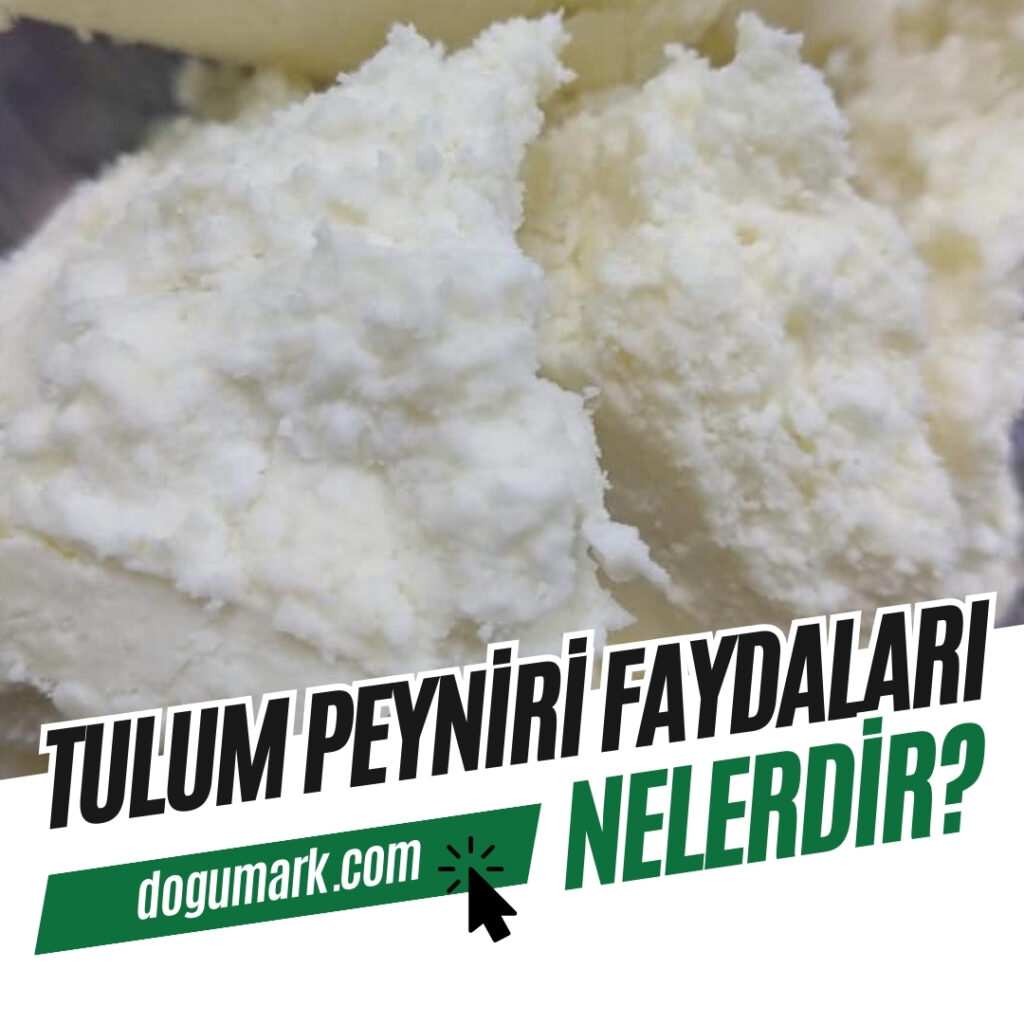 Tulum Peyniri Faydaları Nelerdir?