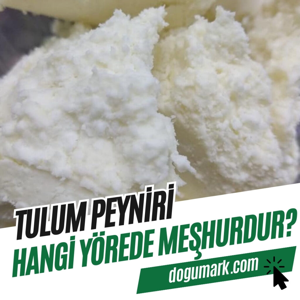 Tulum Peyniri Hangi Yörede Meşhurdur