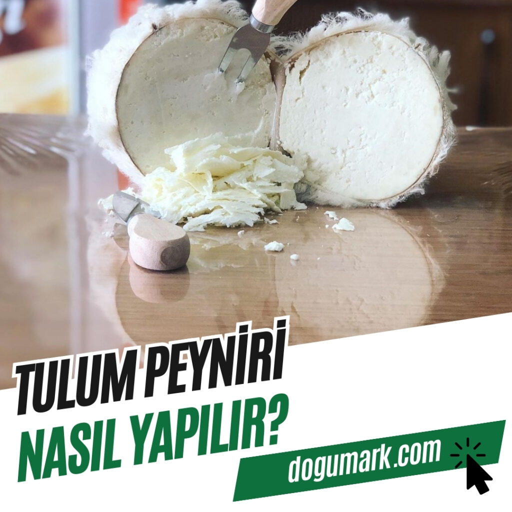 Tulum Peyniri Nasıl Yapılır