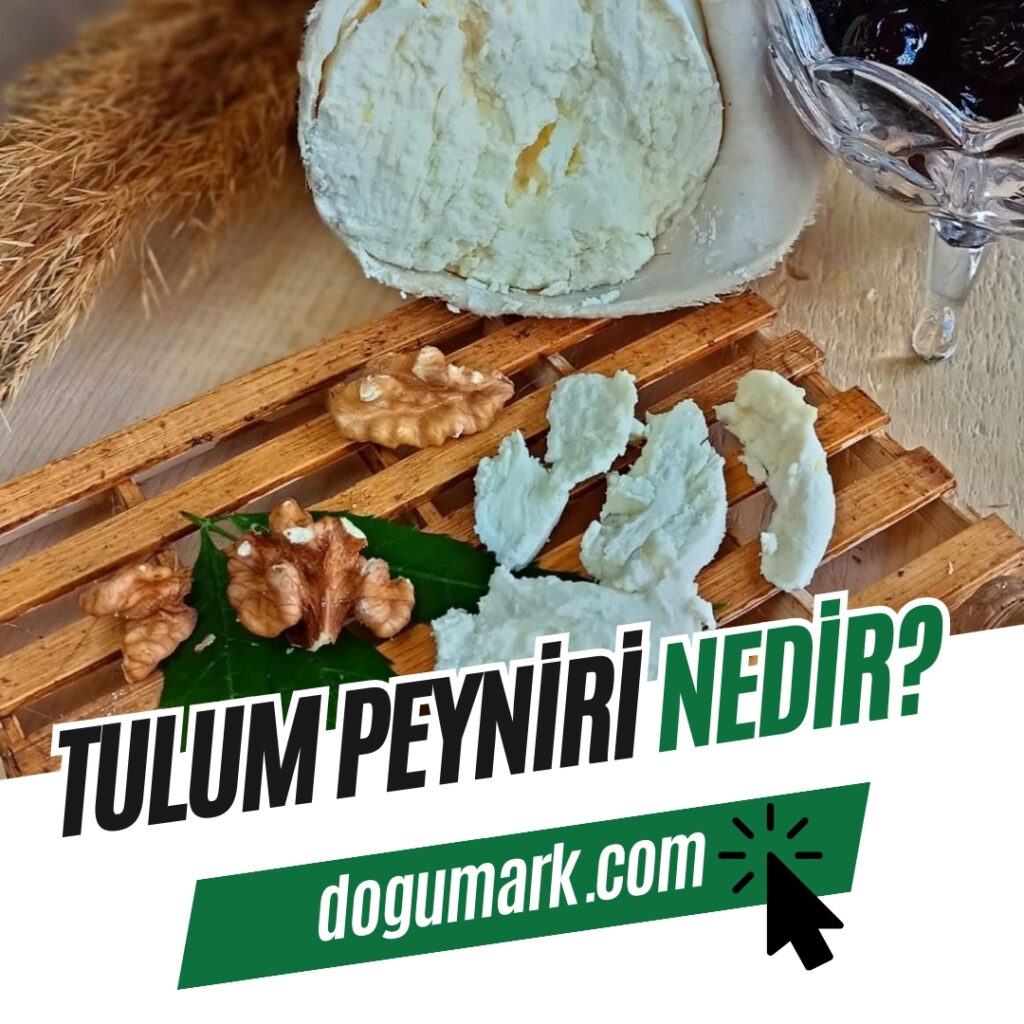 Tulum Peyniri Nedir