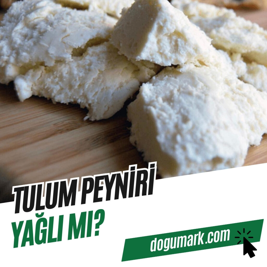 Tulum Peyniri Yağlı mı