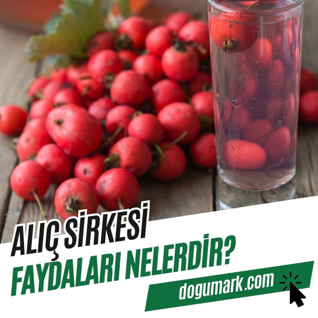 Alıç Sirkesi Faydaları Nelerdir