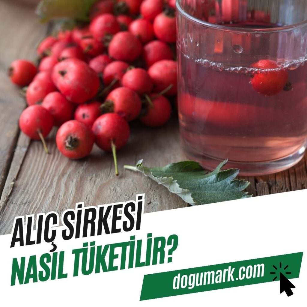 Alıç Sirkesi Nasıl Tüketilir