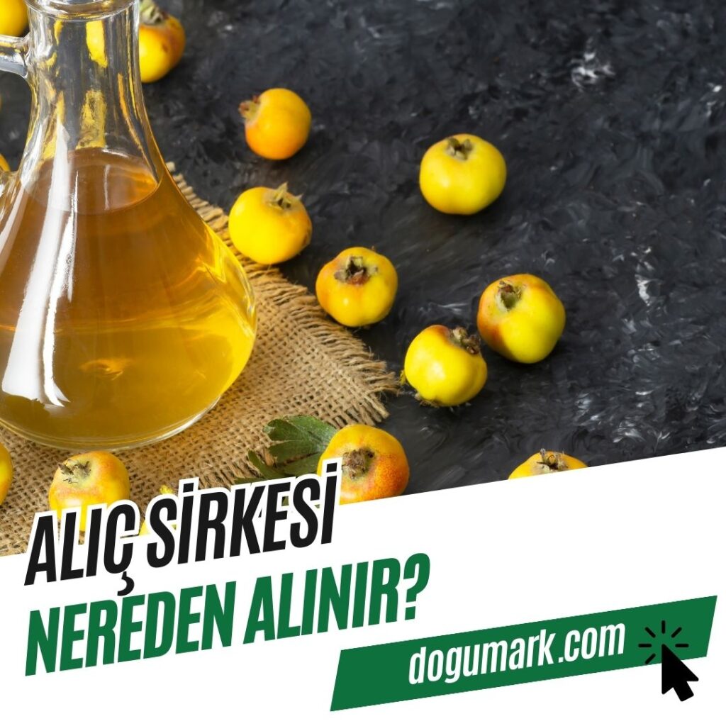 Alıç Sirkesi Nereden Alınır