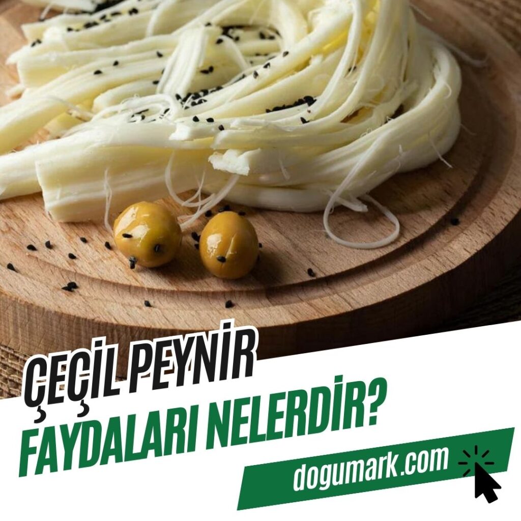 Çeçil Peynir Faydaları Nelerdir