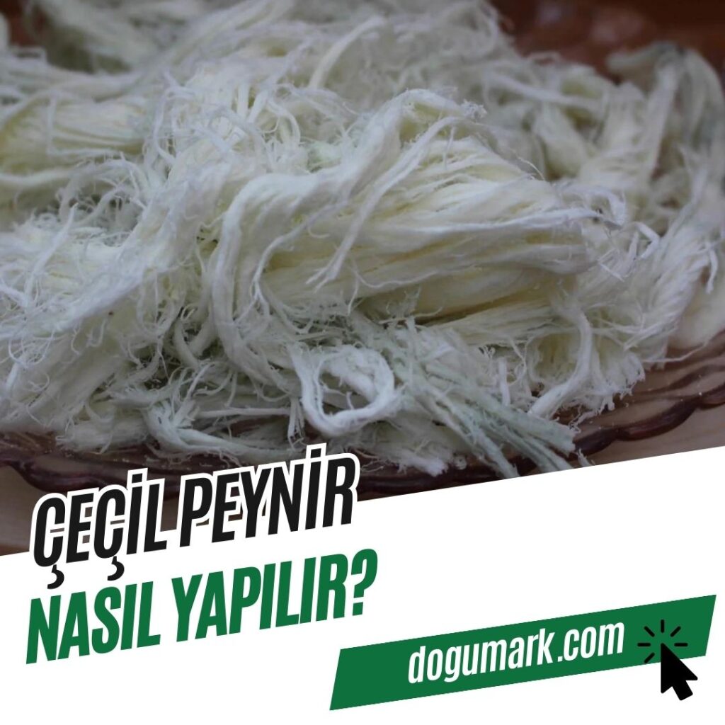 Çeçil Peynir Nasıl Yapılır