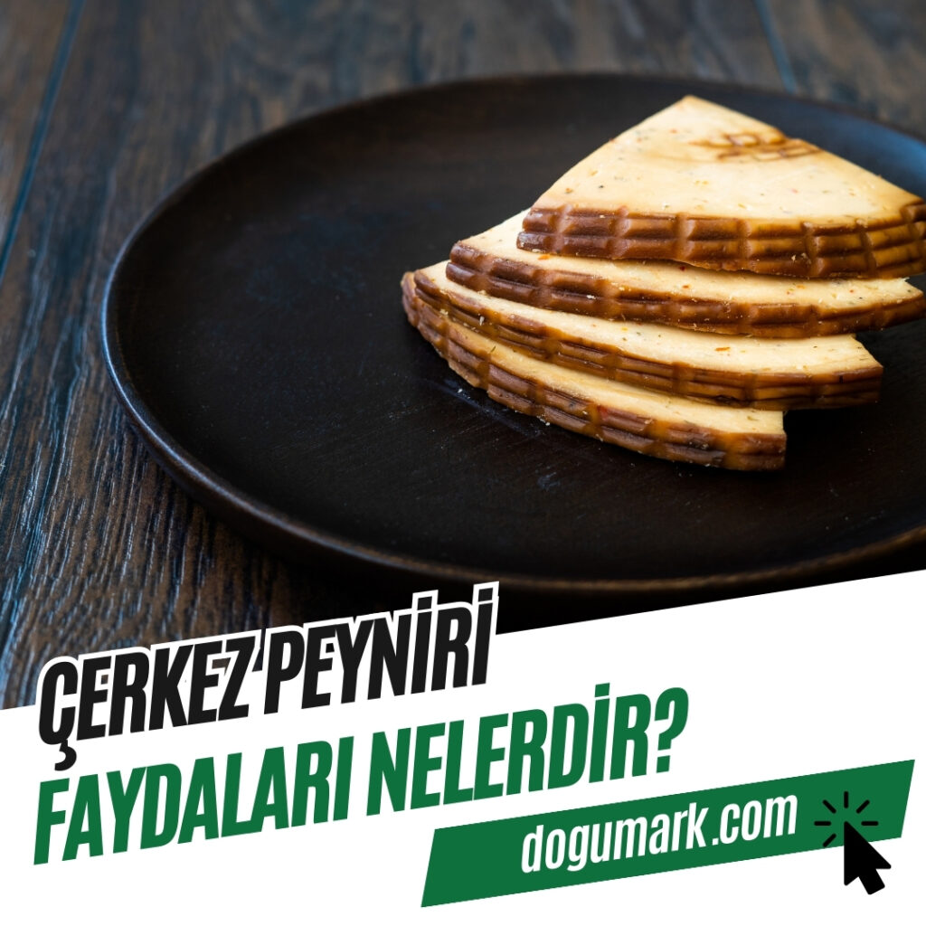 Çerkez Peyniri Faydaları Nelerdir
