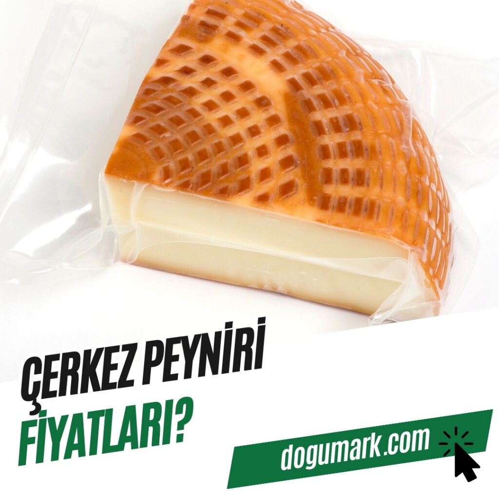Çerkez Peyniri Fiyatları