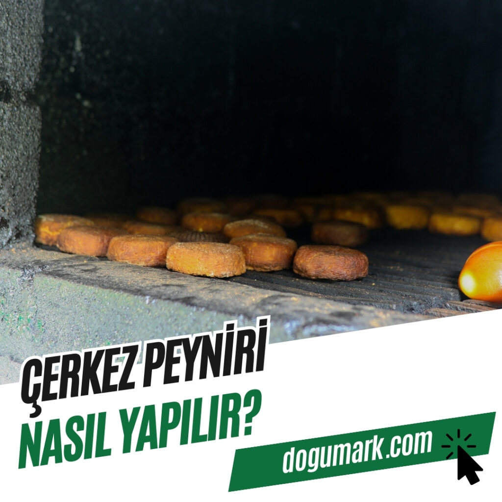 Çerkez Peyniri Nasıl Yapılır
