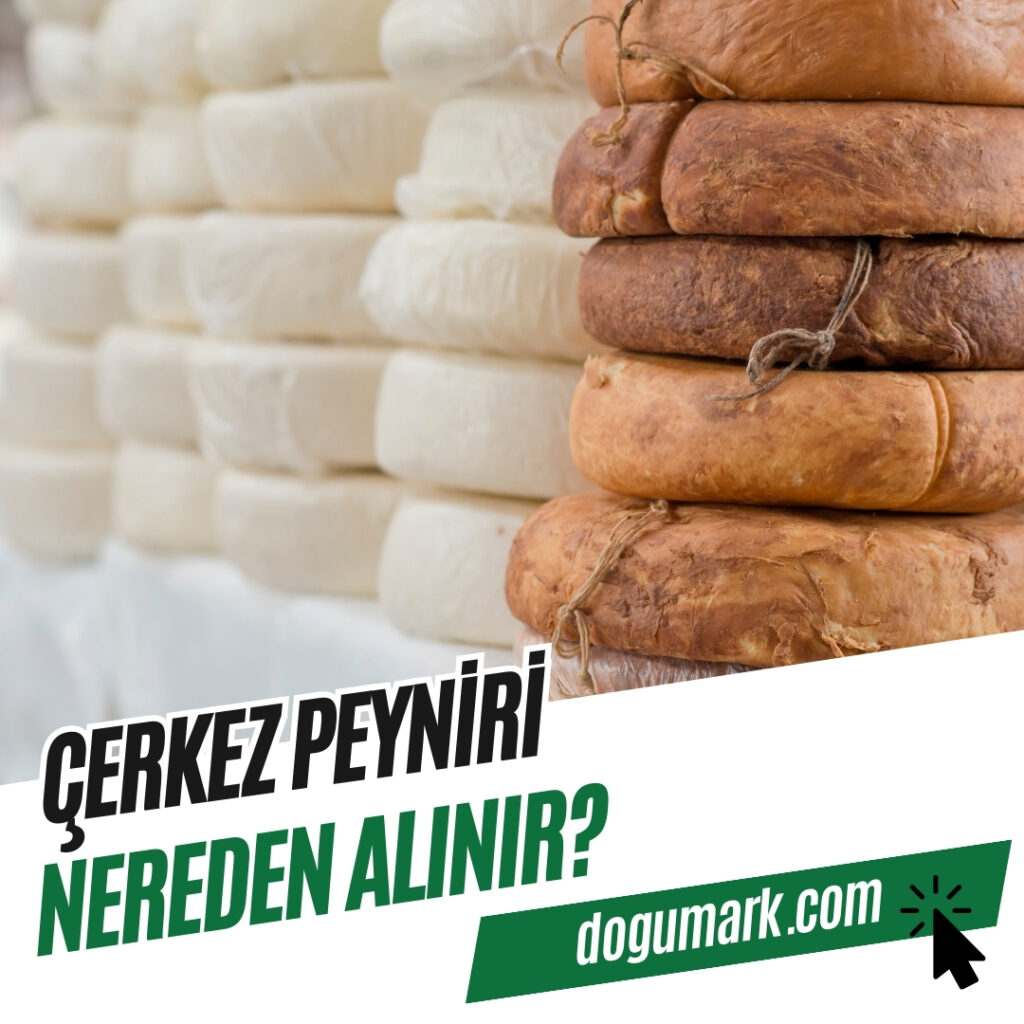 Çerkez Peyniri Nereden Alınır