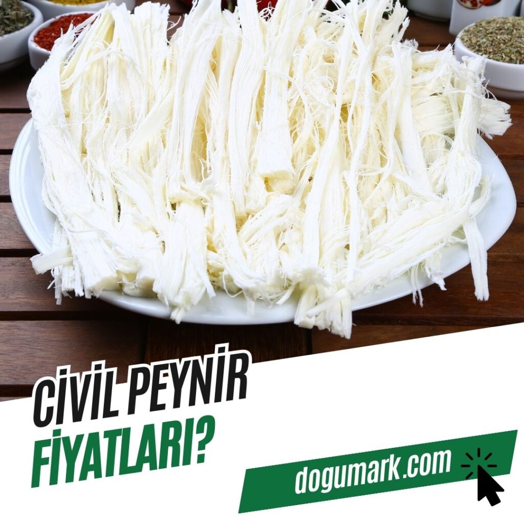 Civil Peynir Fiyatları