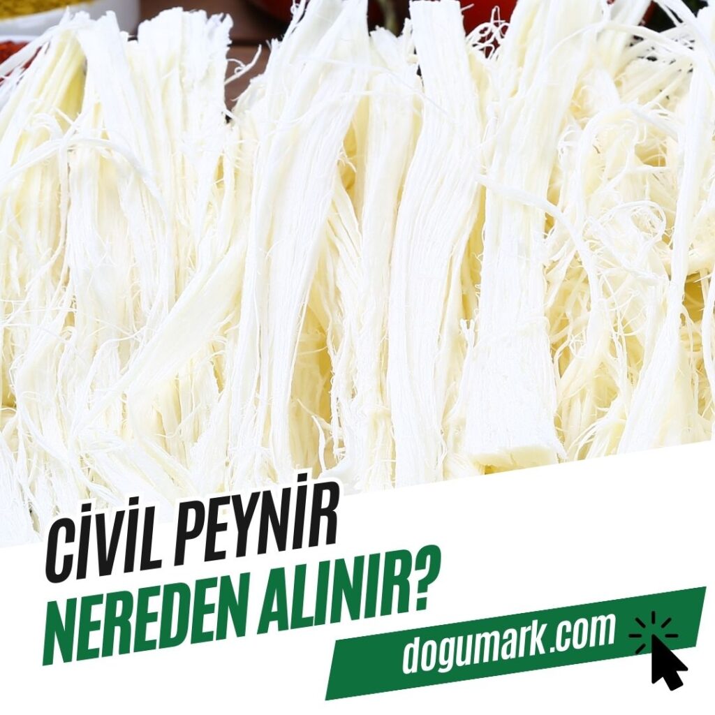 Civil Peynir Nereden Alınır