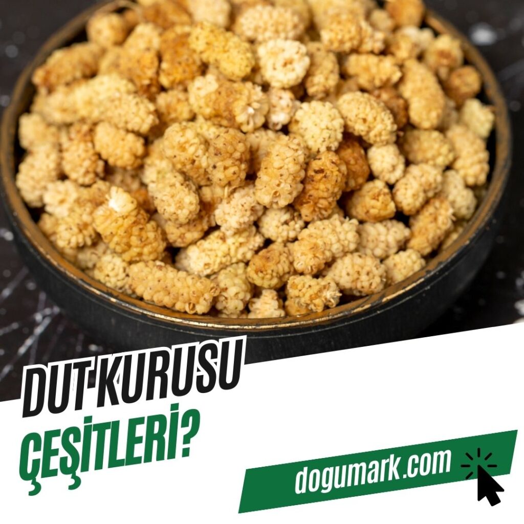 Dut Kurusu Çeşitleri