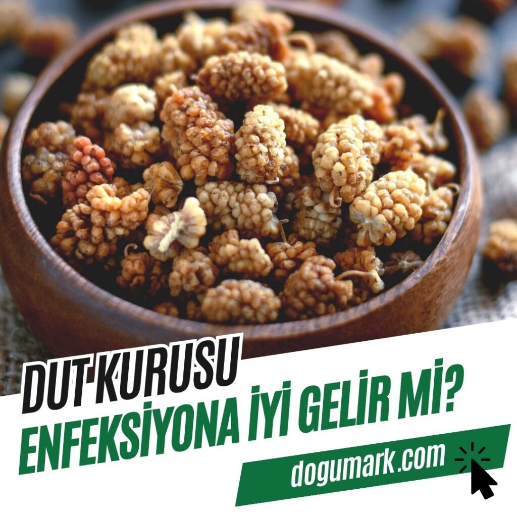 Dut Kurusu Enfeksiyona İyi Gelir mi