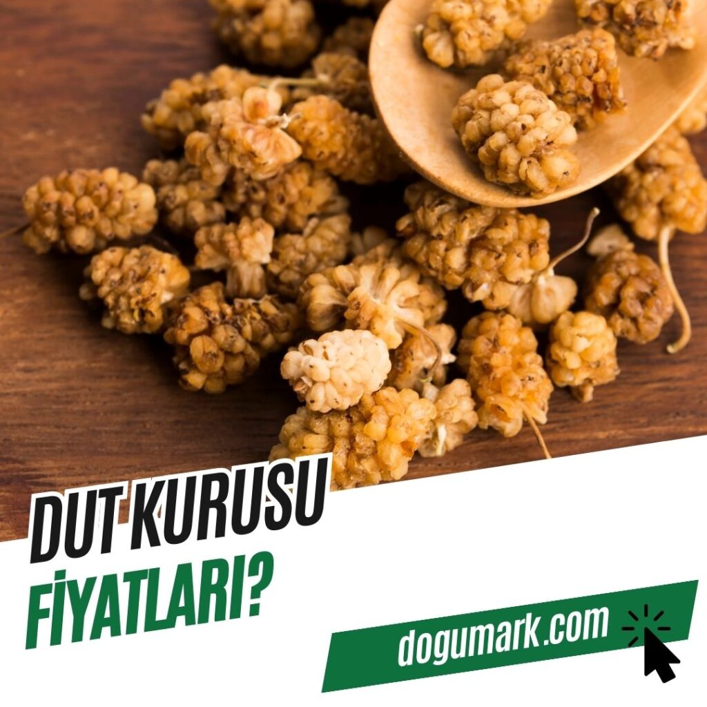 Dut Kurusu Fiyatları
