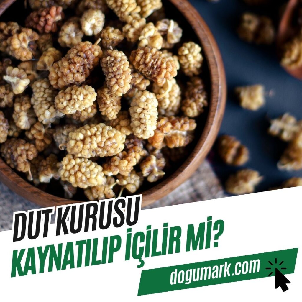 Dut Kurusu Kaynatılıp İçilir mi