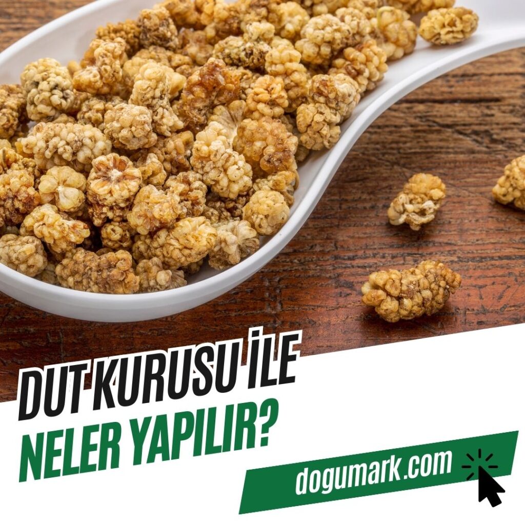 Dut Kurusu ile Neler Yapılır