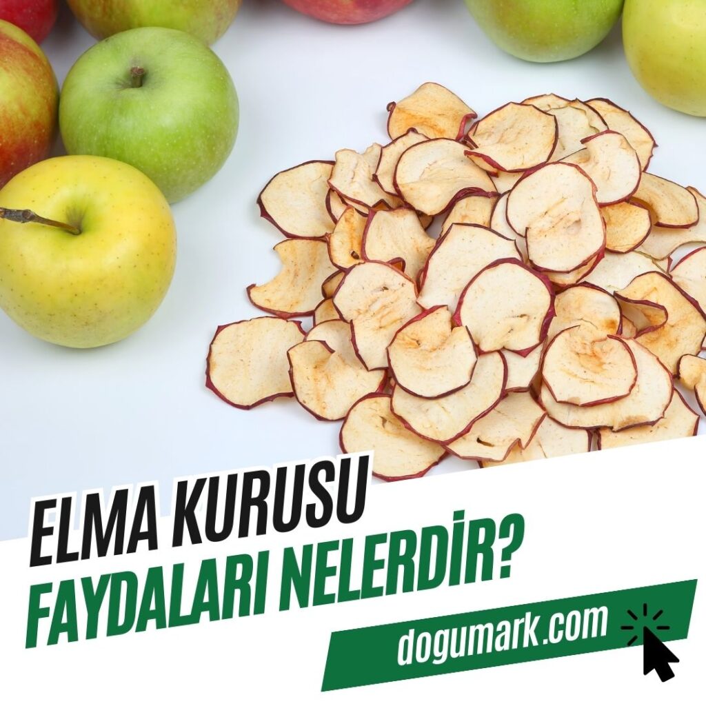 Elma Kurusu Faydaları Nelerdir
