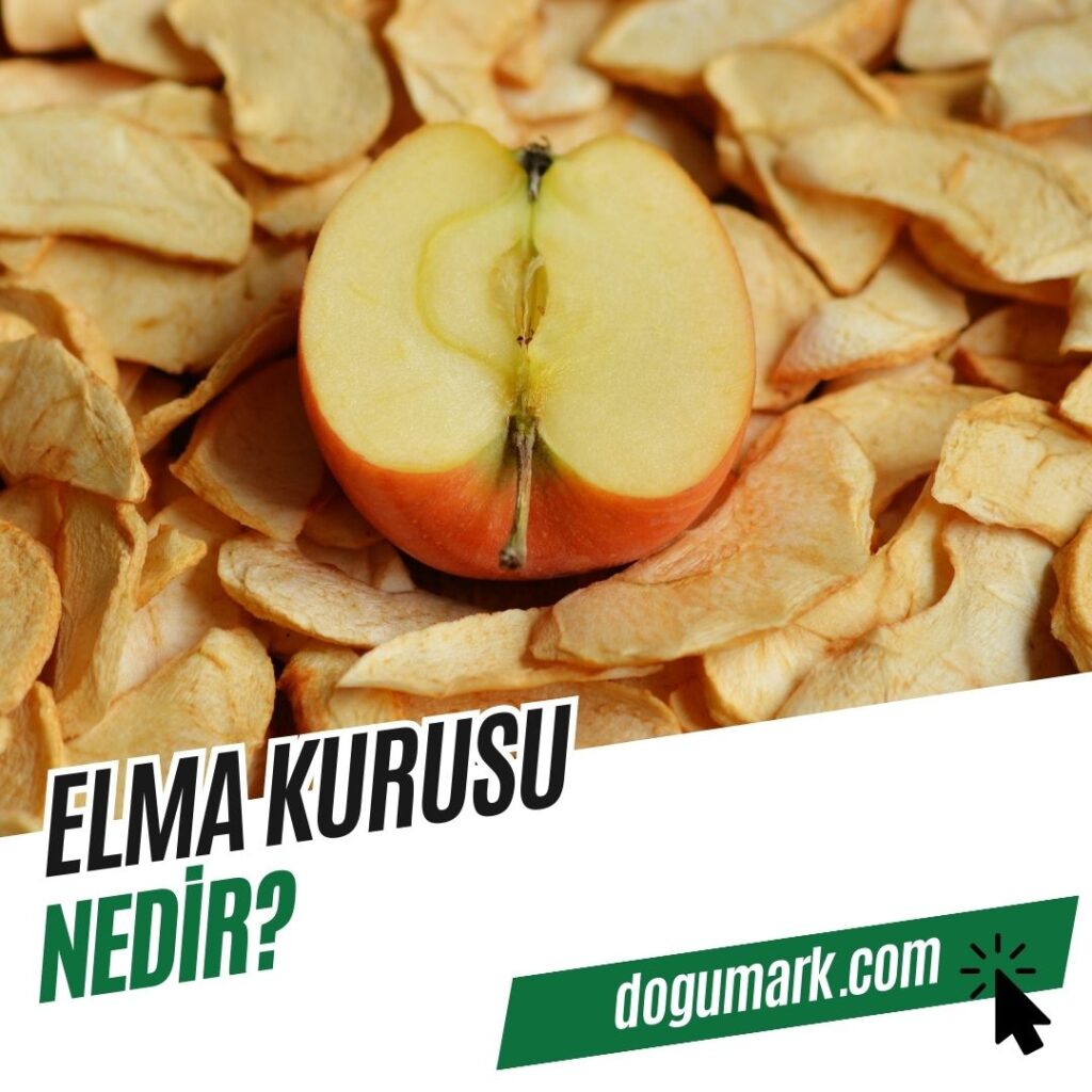 Elma Kurusu Nedir