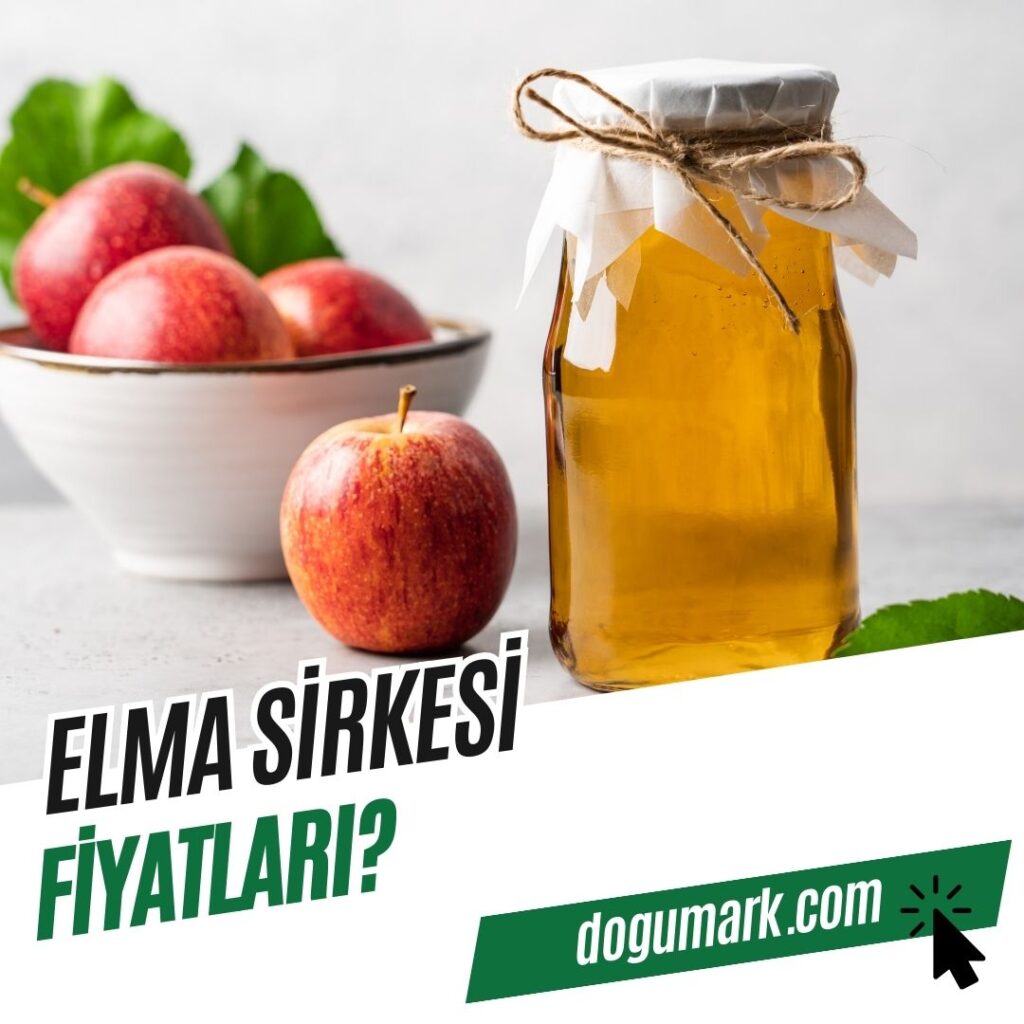 Elma Sirkesi Fiyatları