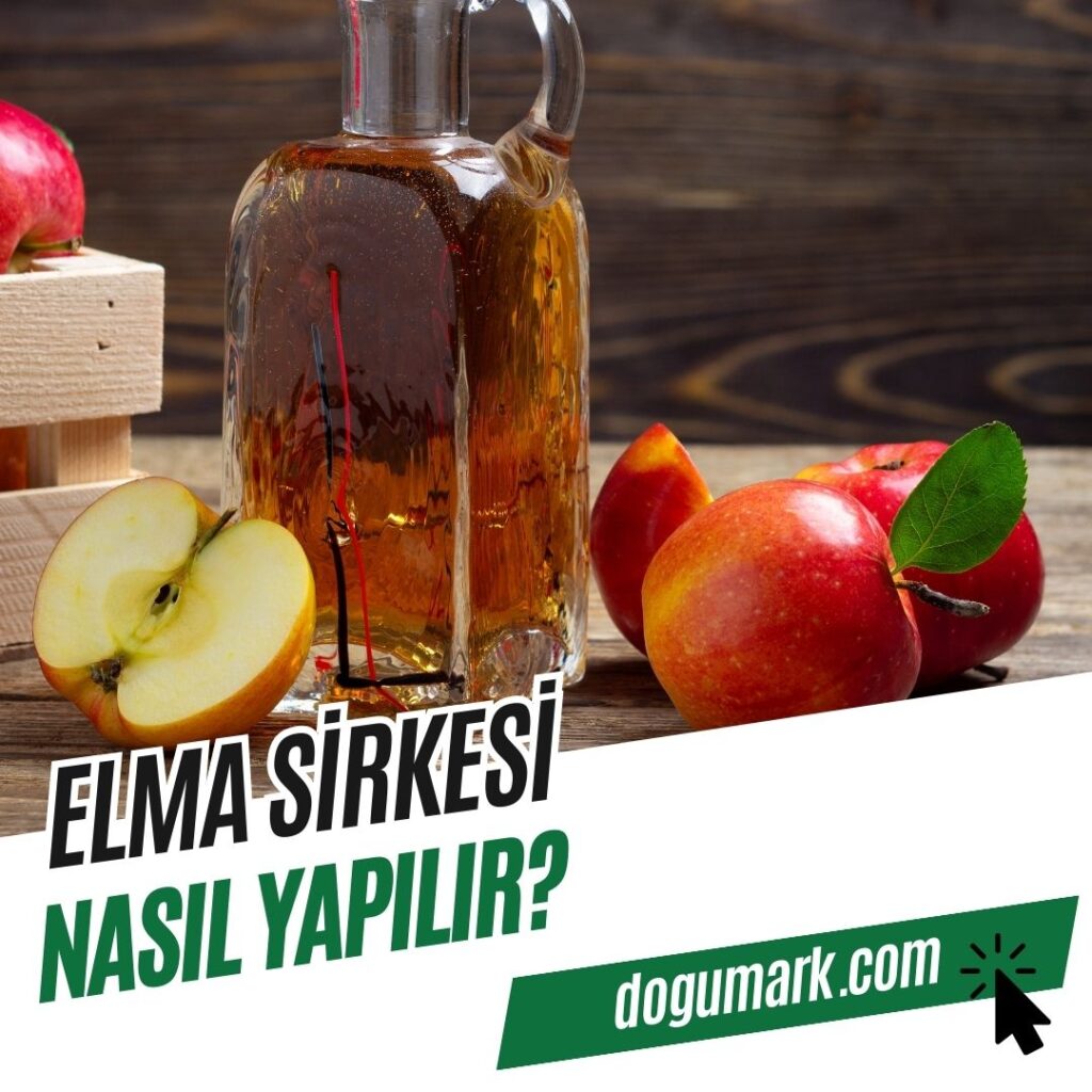 Elma Sirkesi Nasıl Yapılır