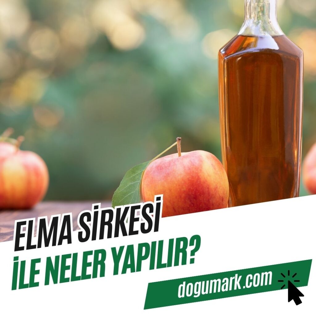 Elma Sirkesi ile Neler Yapılır