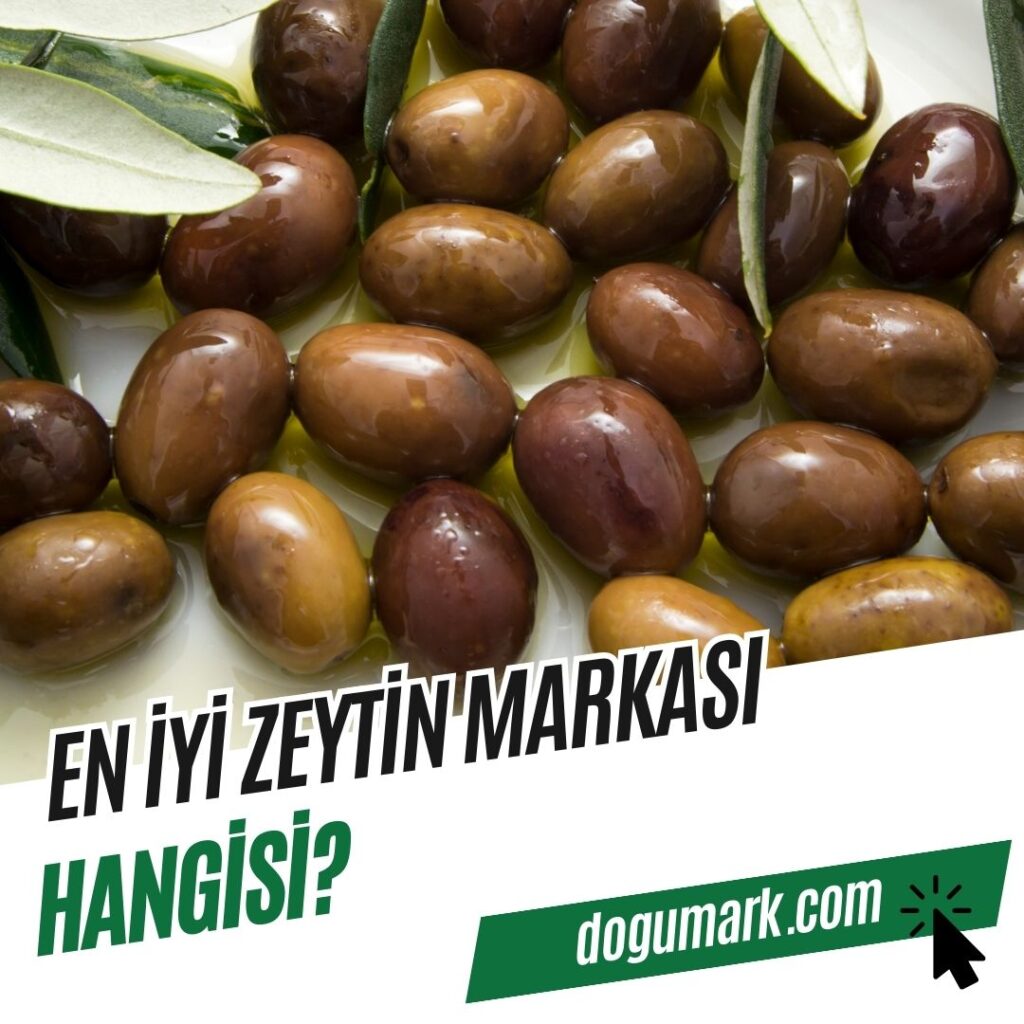 En İyi Zeytin Markası Hangisi