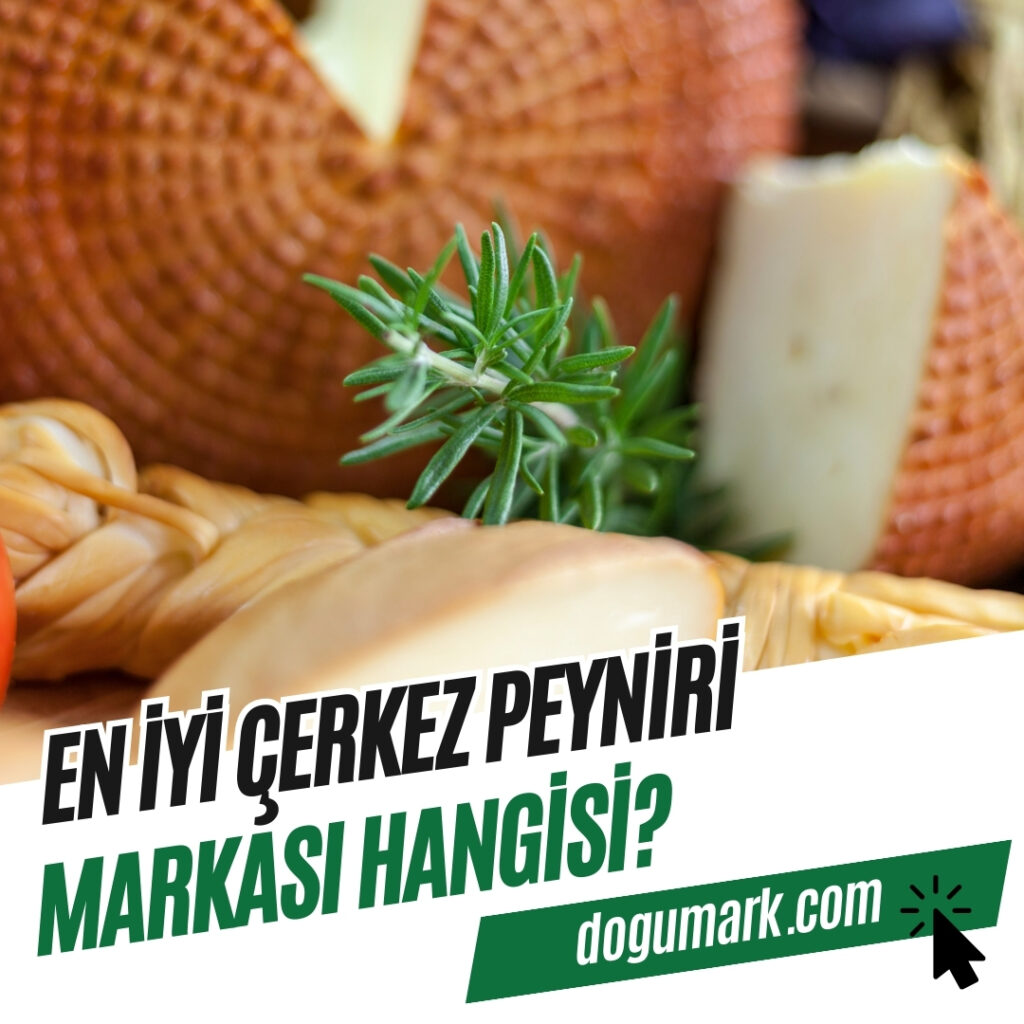 En iyi Çerkez Peyniri Markası Hangisi