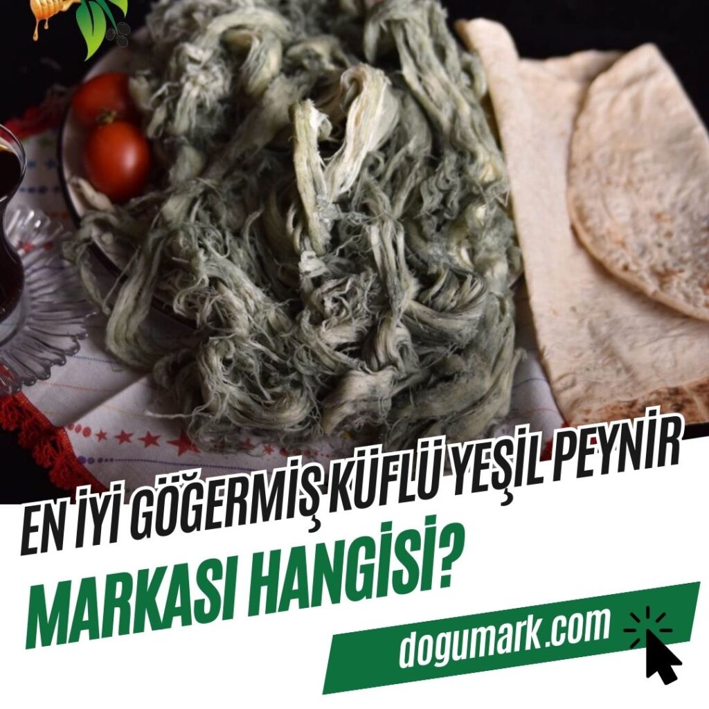 En iyi Göğermiş Küflü Yeşil Peynir Markası Hangisi
