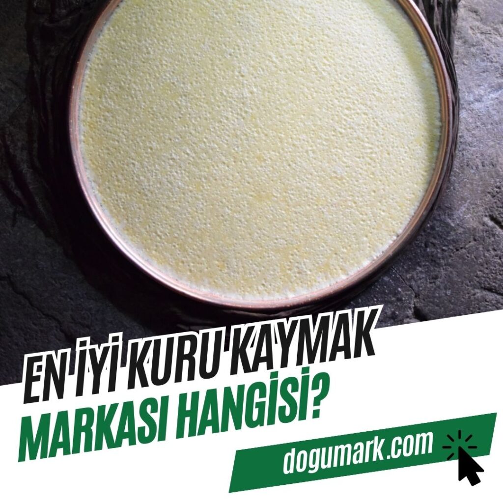 En iyi Kuru Kaymak Markası Hangisi