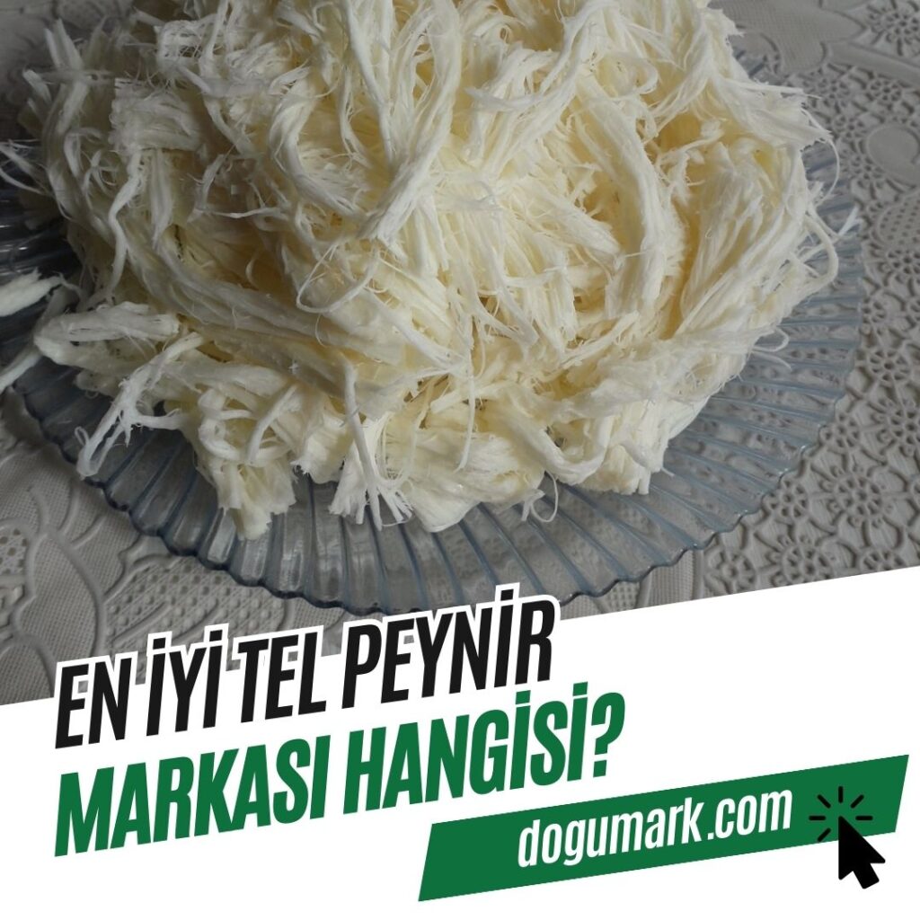 En iyi Tel Peynir Markası Hangisi