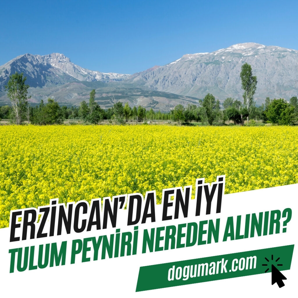 Erzincan'da En iyi Tulum Peyniri Nereden Alınır