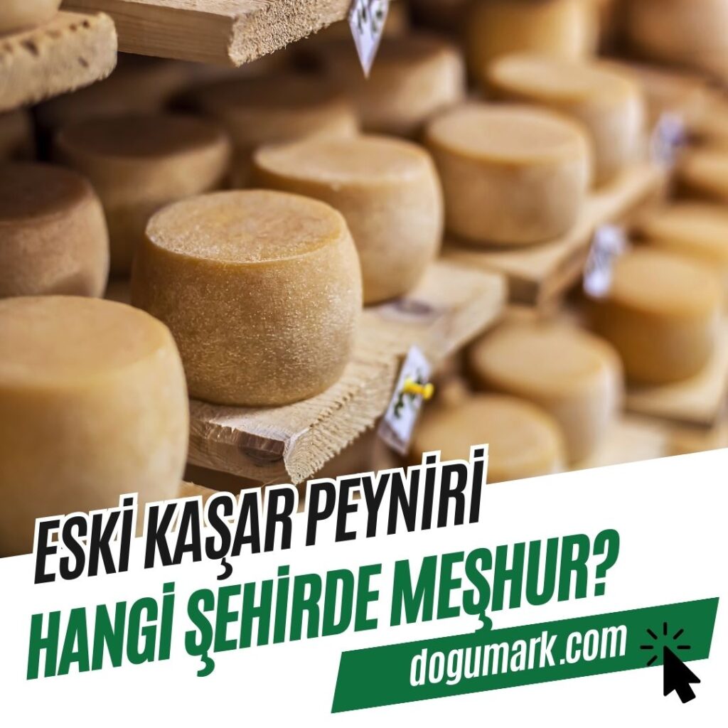 Eski Kaşar Peyniri Hangi Şehirde Meşhur