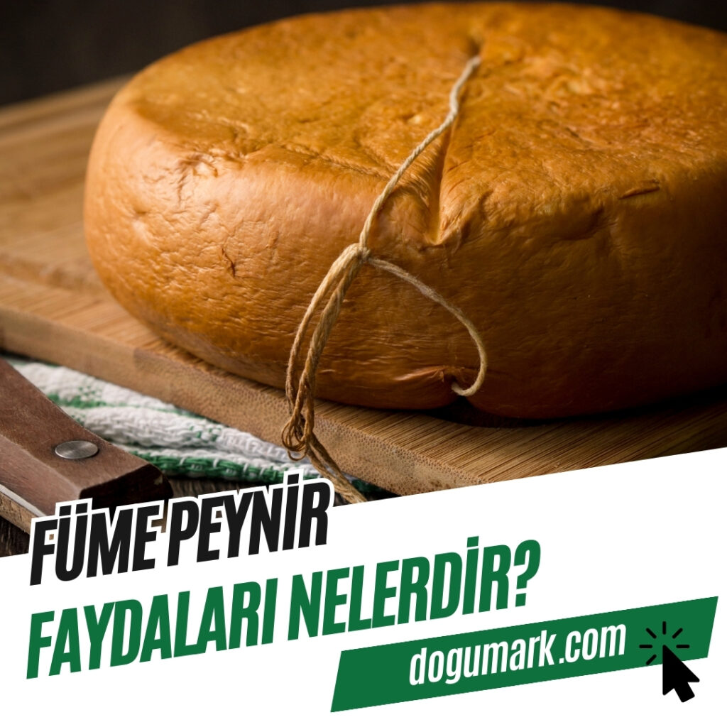 Füme Peynir Faydaları Nelerdir