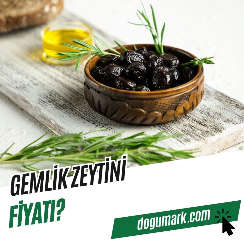 Gemlik Zeytini Fiyatı