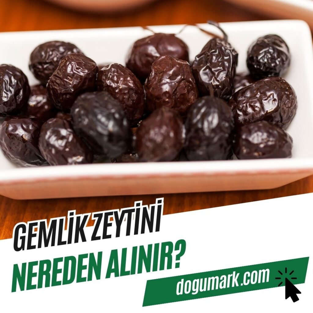 Gemlik Zeytini Nereden Alınır