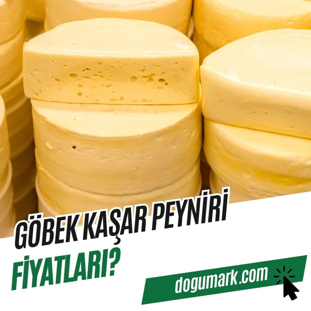 Göbek Kaşar Peyniri Fiyatları