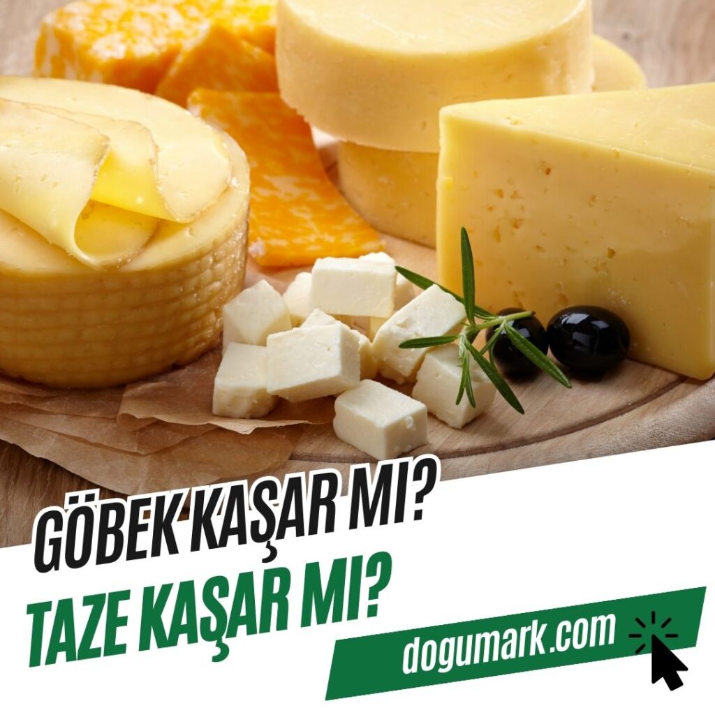 Göbek Kaşar mı Taze Kaşar mı