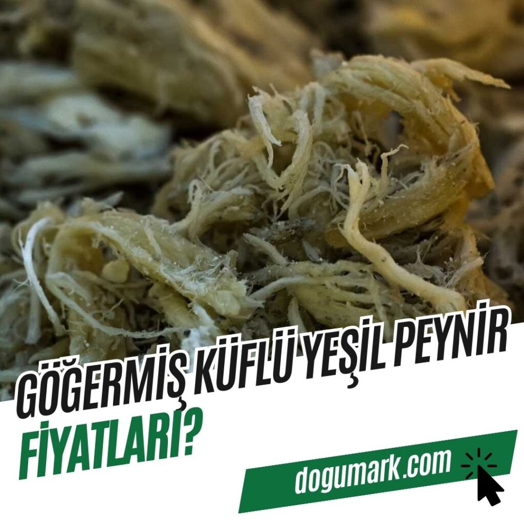 Göğermiş Küflü Yeşil Peynir Fiyatları