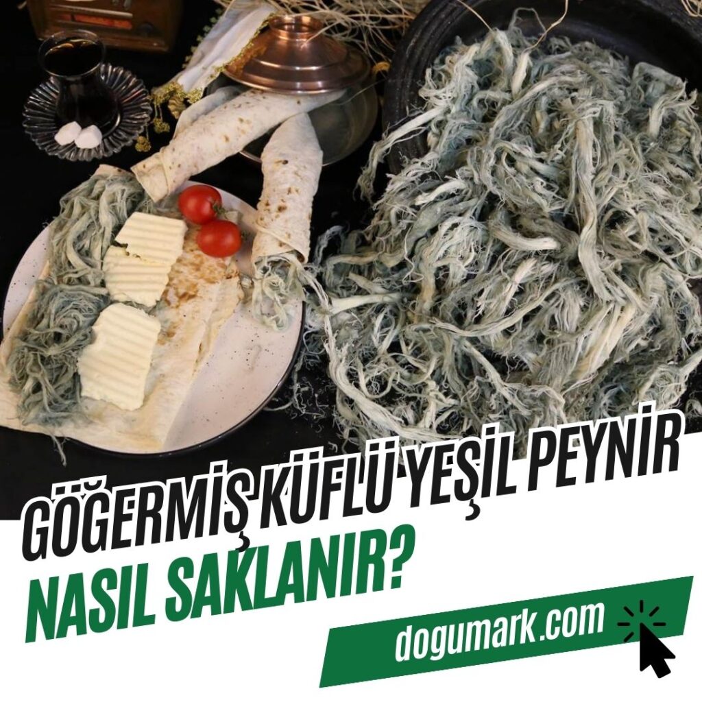 Göğermiş Küflü Yeşil Peynir Nasıl Saklanır