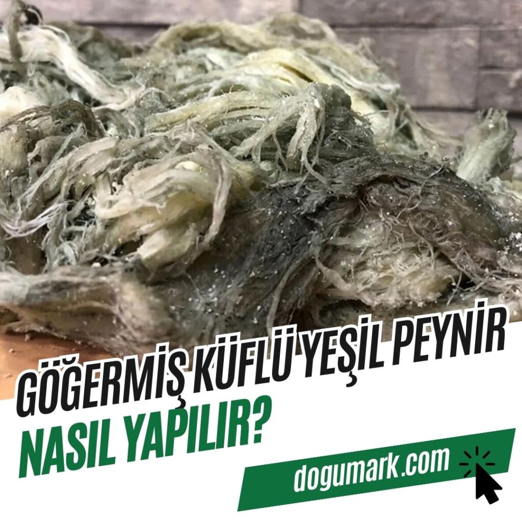 Göğermiş Küflü Yeşil Peynir Nasıl Yapılır